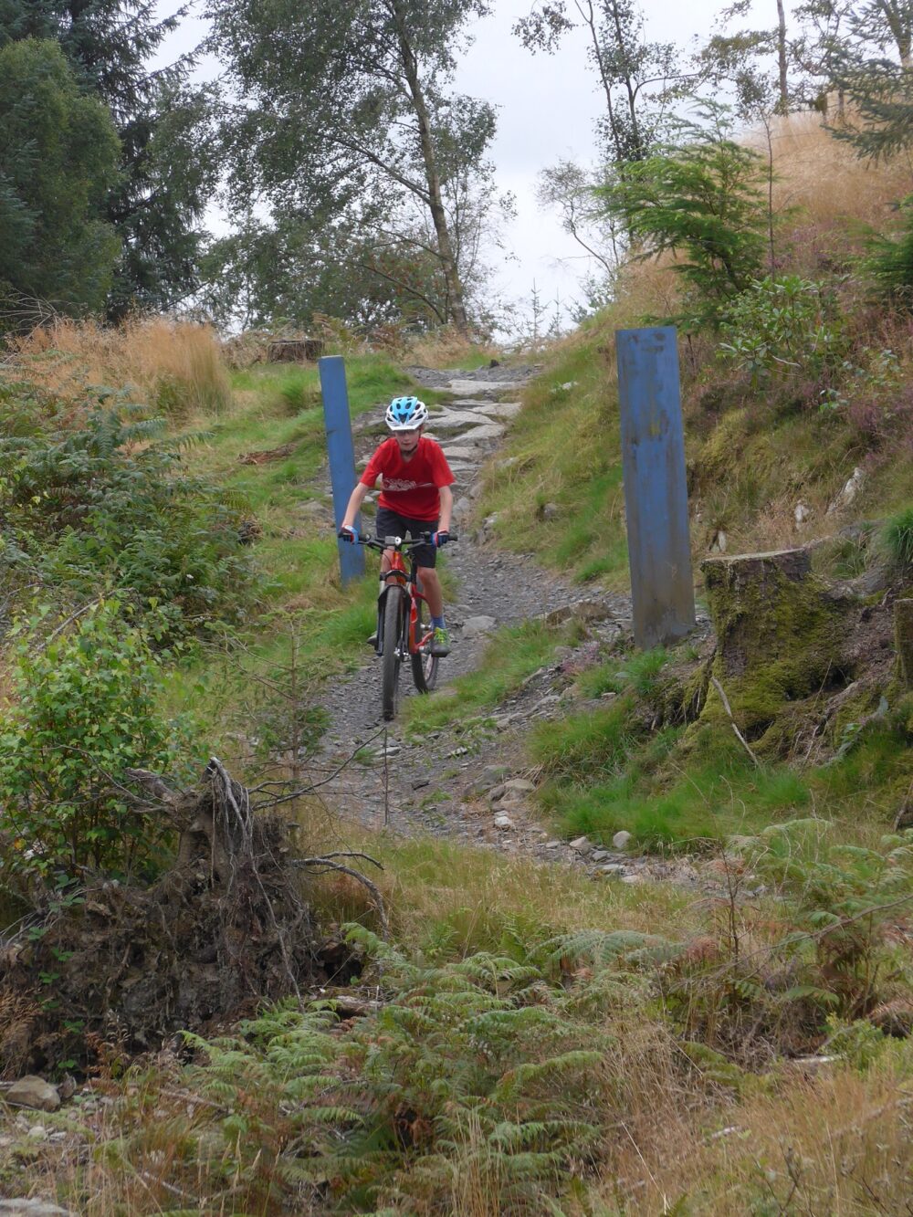 Review of the Islabikes Creig - in action at Kirroughtree MTB trail ...