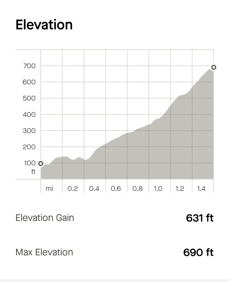 strava screenshot of karens bike ride on the estarli cargo bike