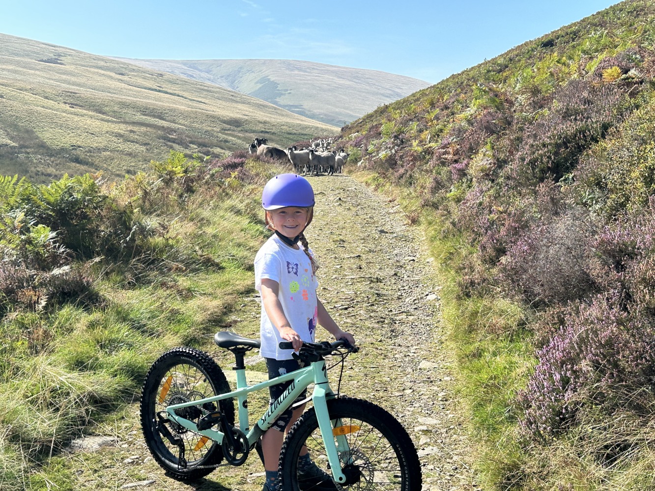 Specialized Riprock 20 review- a photo of a litle girl riding the blue bike on a lake district hill on a sunny day