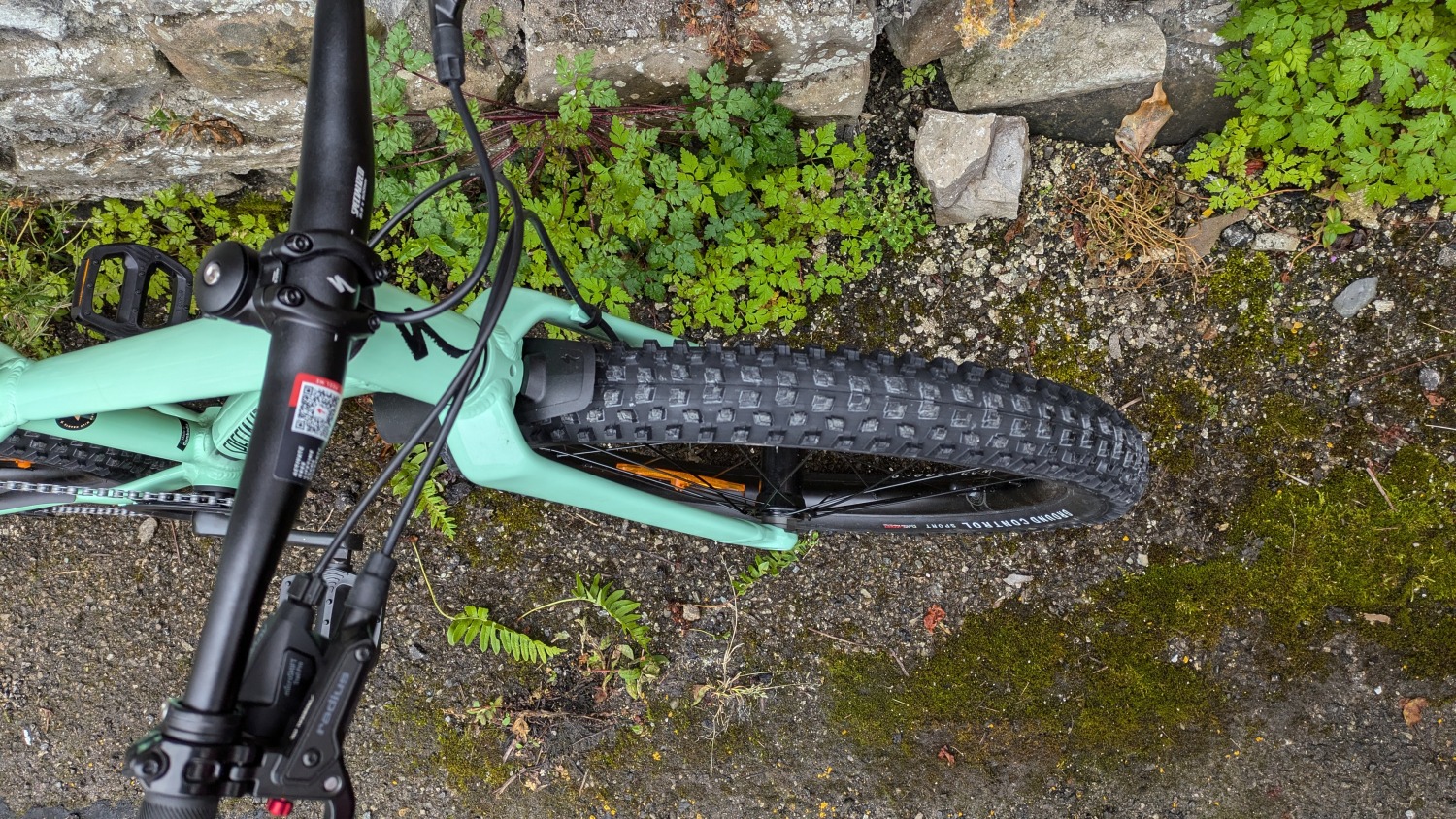 A close up of the tyre on the blue specialized riprock