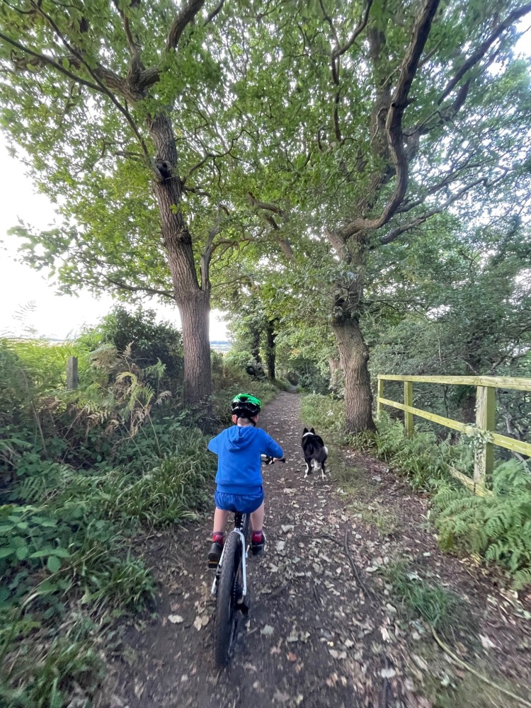 woom OFF 4 review, a photo of Zack, the reviewer in a yellow tshirt riding the black woom off 4 on a narrow trail between trees