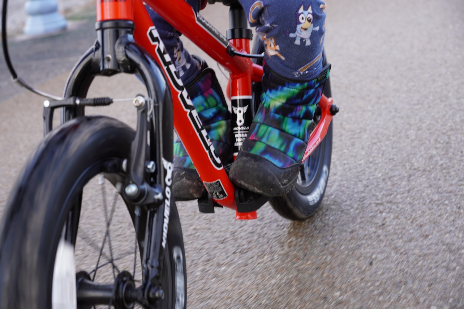 twin girls stand with their balance bikes at the sea side